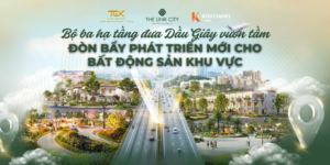 BỘ BA HẠ TẦNG ĐƯA DẦU GIÂY VƯƠN TẦM – ĐÒN BẨY PHÁT TRIỂN MỚI CHO BẤT ĐỘNG SẢN KHU VỰC